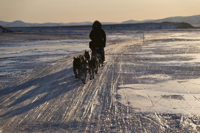 Iditarod Field Is 'a Little Scary' This Year