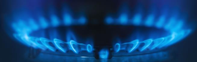 State Prohibits Local Bans on Natural Gas Stoves