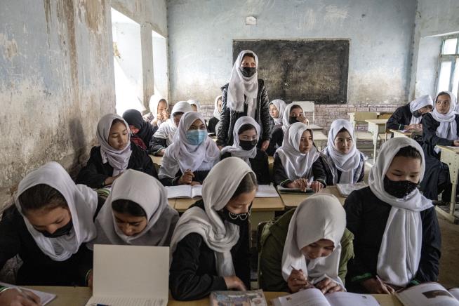Afghan Religious Scholars Criticize Girls' Education Ban