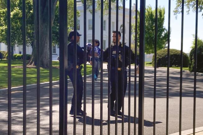 Toddler Sneaks Through Gap in White House Fence