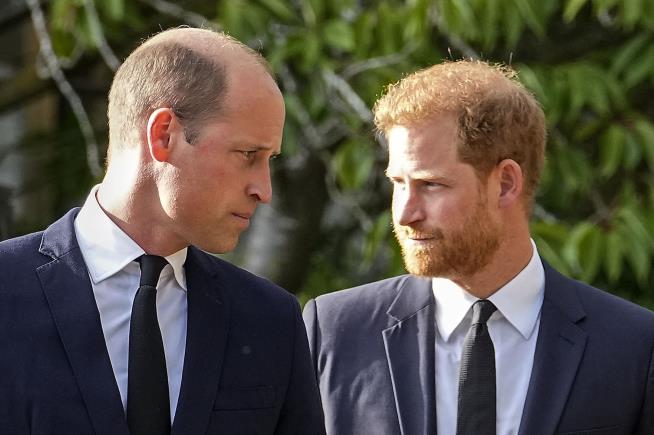 Prince Harry Reveals Murdoch Payout to William