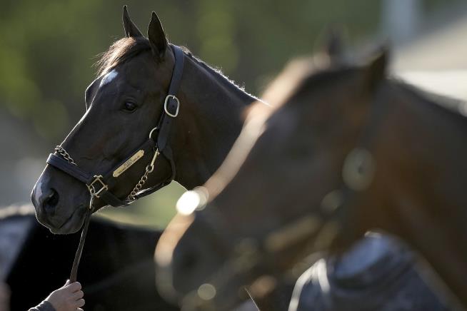 4 Horses Die Ahead of Kentucky Derby: ‘It Doesn’t Make Sense’