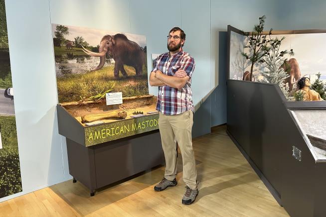 Museum Puts Mastodon Bones Found by Work Crew on Display