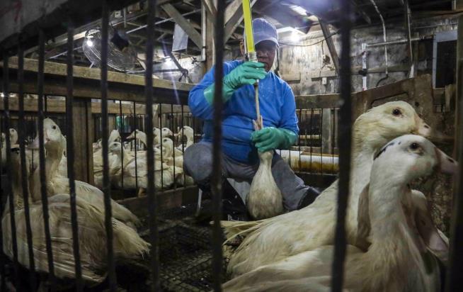 Supreme Court Leaves Foie Gras Ban in Place