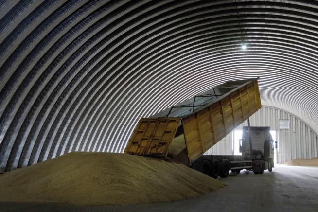 Price of Wheat Jumps After Dam Collapse in Ukraine