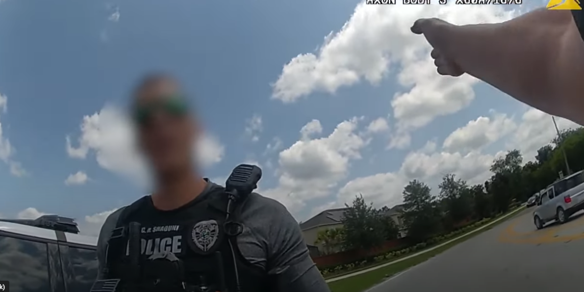 WATCH THIS!! Bizarre Traffic Stop Involves One Cop Accusing Another ...