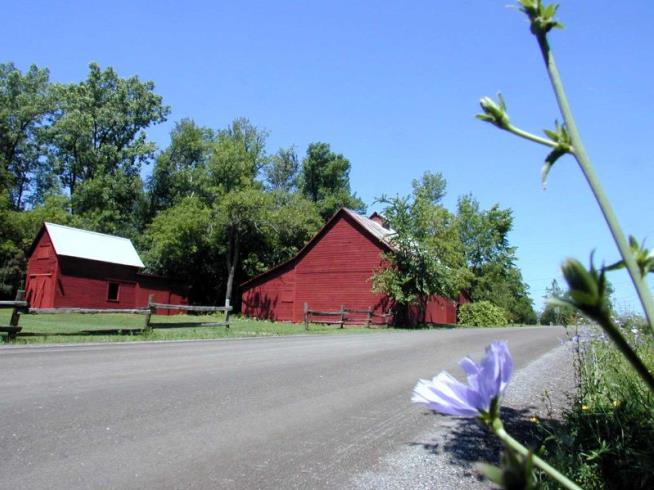 Vermont Begins Push to Save Historic Barns