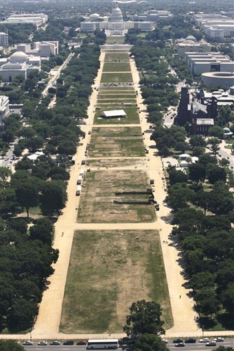 An Idea for the National Mall: Wildflower Meadows