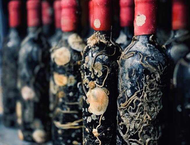 Feds Destroy 2K Bottles of Illegal, Ocean-Aged Wine