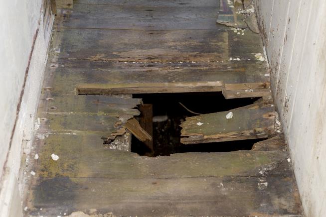 Woman Dies After Falling Into Home's Hidden Well Shaft