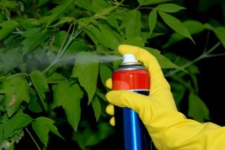 Pesticide Exposure May Increase Autism Risk