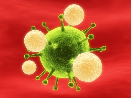 Assassin Cells Slay Hidden HIV