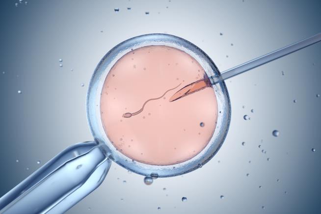 GOP Has Itself Another 'Hot Potato' After IVF Ruling