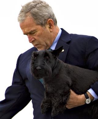 Hey, Obama Girls, Peru's Got Your Puppy
