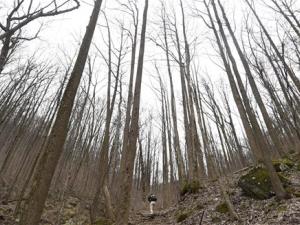 Jasmin Paris Breaks Mold in Grueling Barkley Marathons