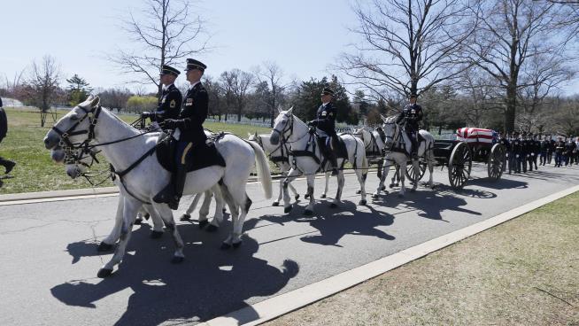 Arlington Won't Have Horses in Funerals for a While