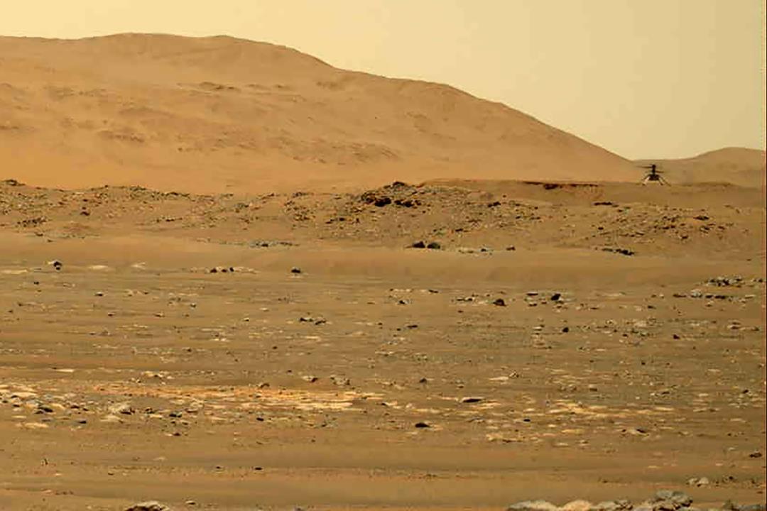 Meziplodiny Mayů by mohly být klíčem k jídlu na Marsu