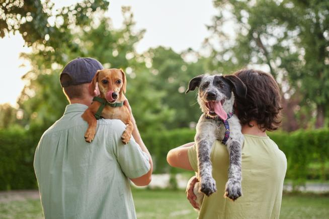 Guess Which US City Loves Its Dogs the Most