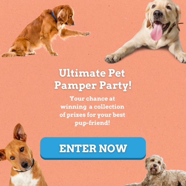 Win $900 in Prizes for Your Pet!