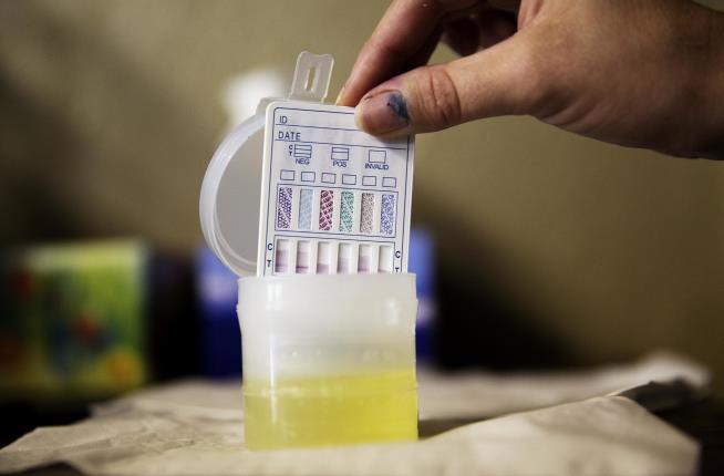 Workers Are Cheating on Drug Tests Like Never Before