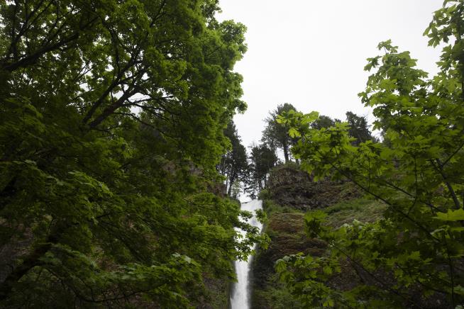 Hiker Falls to Her Death in Columbia River Gorge