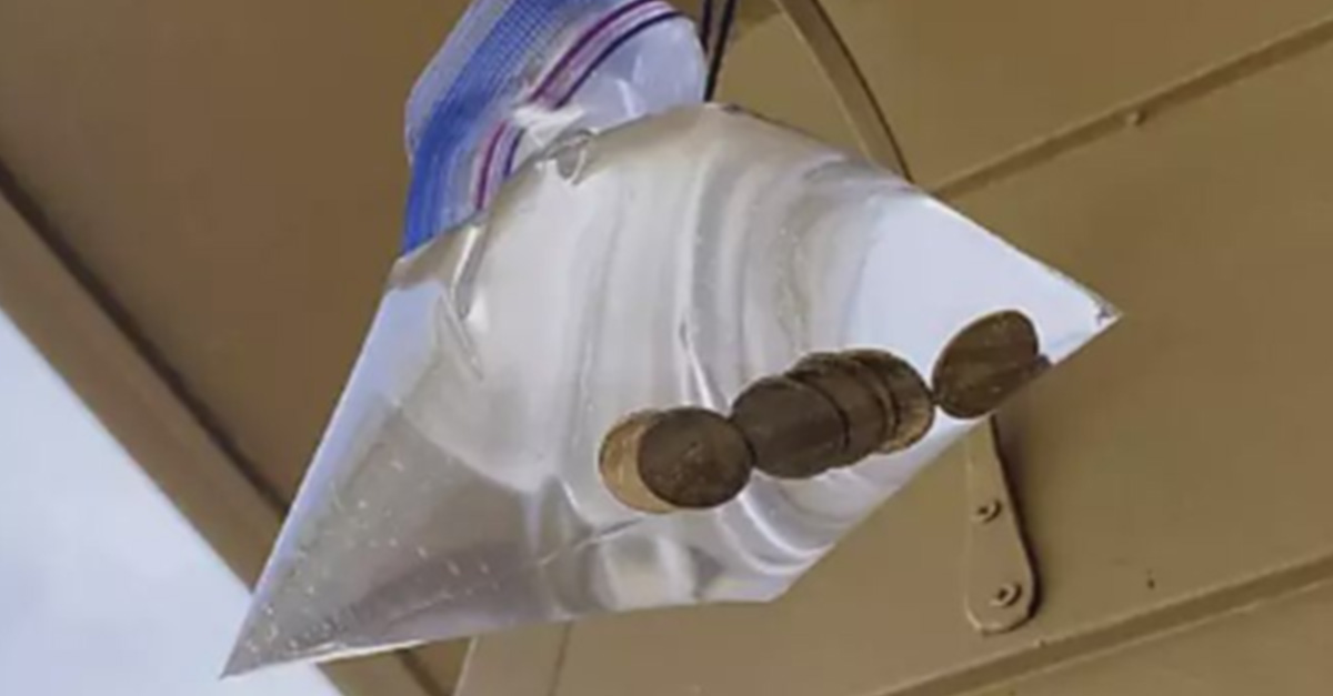 Hang a Bag of Water With Pennies Outside Your Front Door, Here's Why