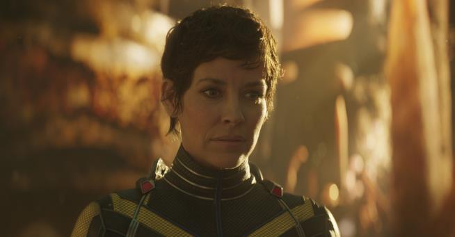Evangeline Lilly 'Stepping Away' From Acting