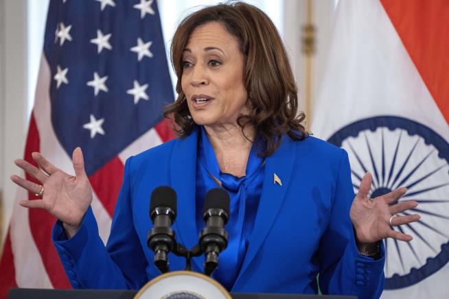 Democrats Are Happy, but Harris Is Still the Underdog