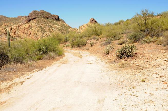 Family Reunion Hike Goes Awry in Steamy Arizona