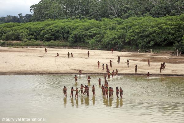 'Uncontacted' Indigenous Group Just Made Contact