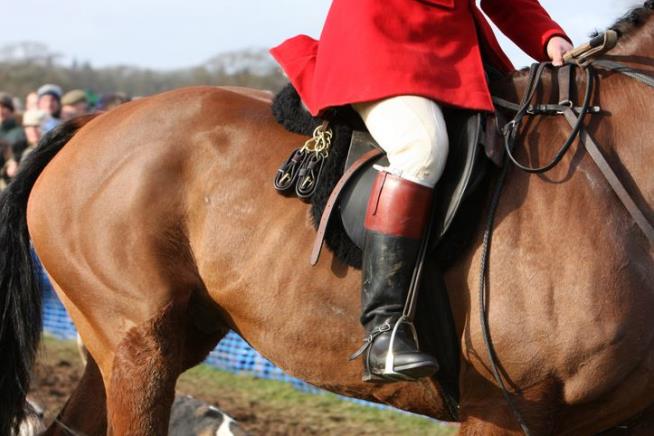 Fox Hunters' Argument: We're an Ethnic Minority