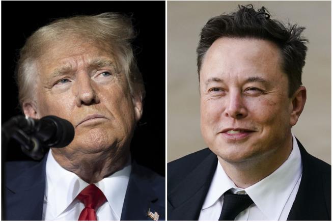 Trump Praises Musk as 'Greatest Cutter' of Employees