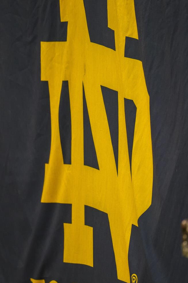 Notre Dame Suspends Men's Swim Team for a Year