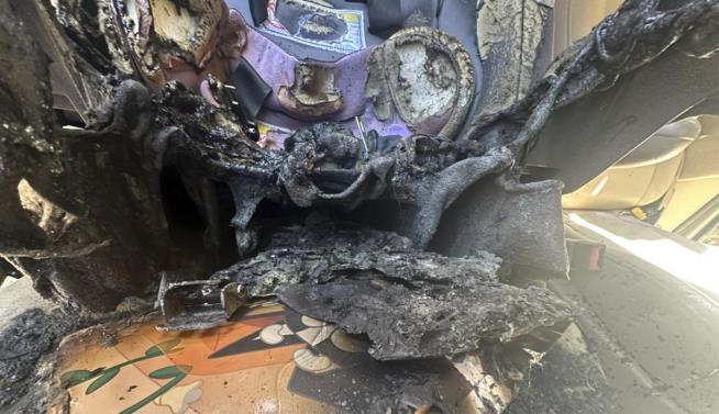 Culprit in Minivan Fire: A Children's Book