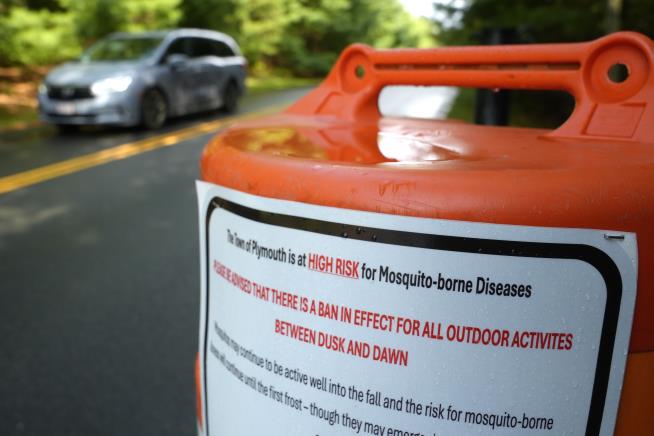 NH Man Gets 3 Mosquito-Borne Viruses From a Single Bite