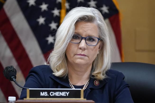 Liz Cheney Endorses Harris