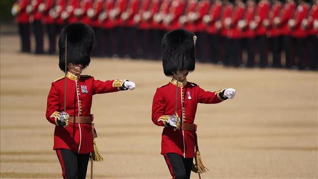 PETA Fights King's Guards' Bearskin Caps From New Angle