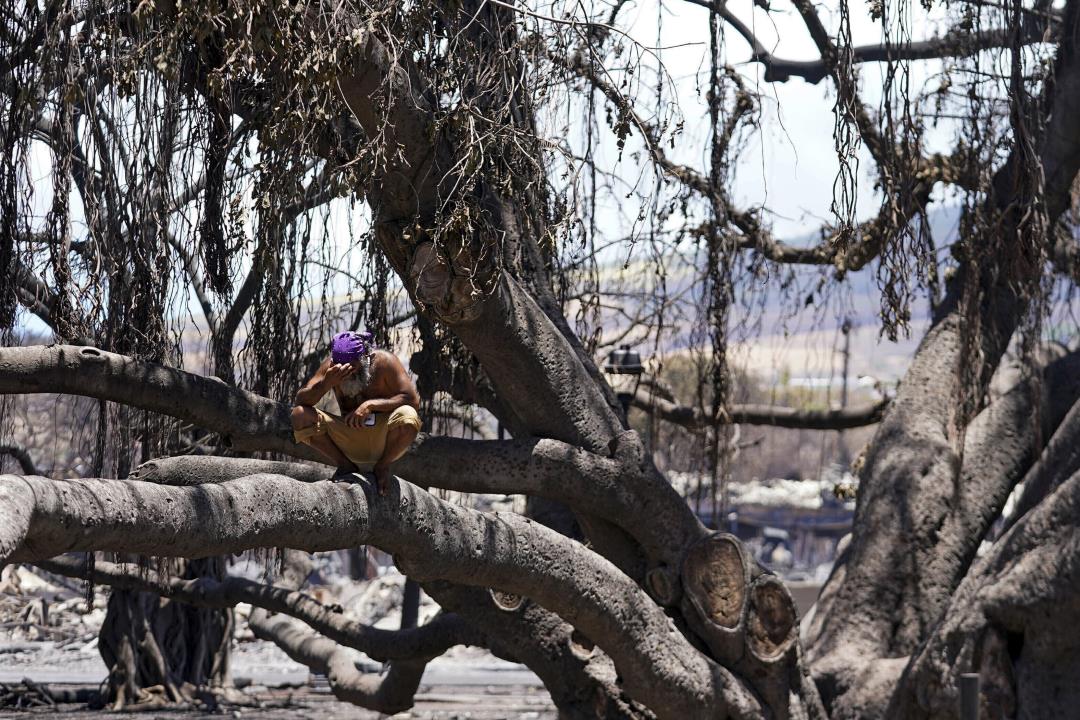 Investigators Find No Sign Hawaii Heeded Fire Warning