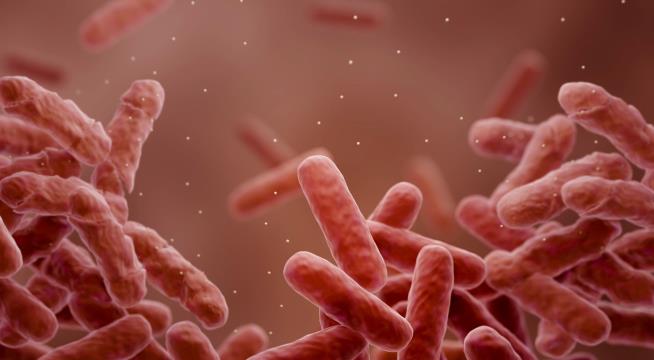 'Superbug' Infections Could Kill Almost 40M by 2050