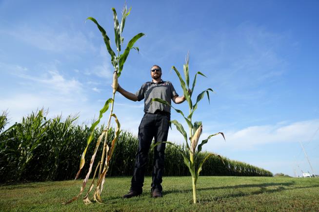 Short Corn Could Become 'New Normal' in Midwest