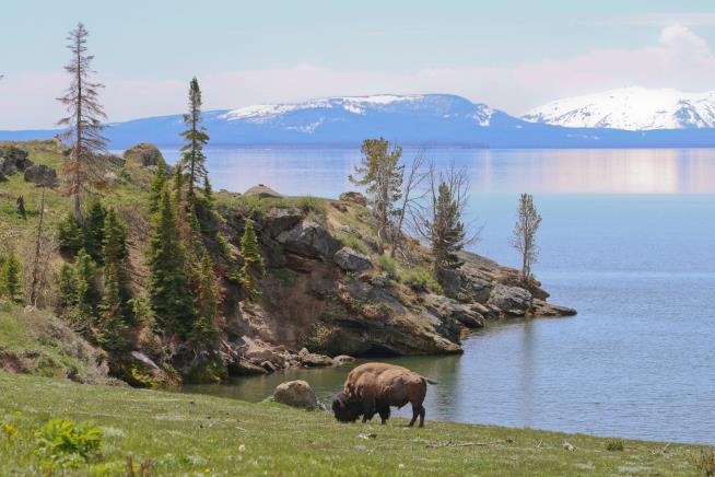 Missing Yellowstone Worker Last Checked in From Peak