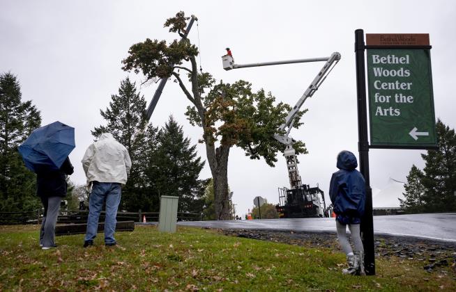 Tree That Relayed Woodstock Messages Has Come Down