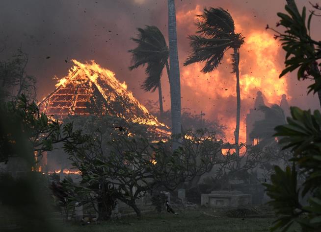 Report Traces Maui Wildfire to a Fallen Power Line