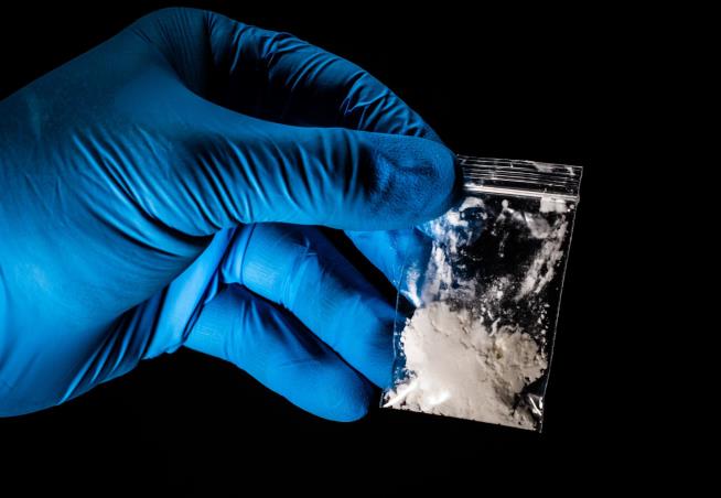 Big Drop in Drug ODs Signals War on Fentanyl Is Working