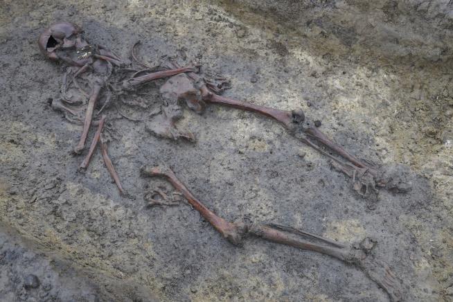 In Denmark, a Rare 'Well-Preserved' Viking Burial Ground