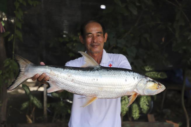 Giant Fish Thought to Be Extinct Has Been Rediscovered