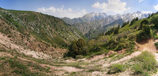 In Mountains Along Silk Road, 'an Amazing Treasure Trove'