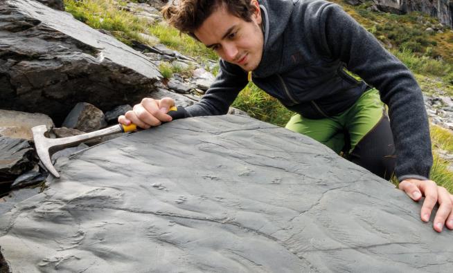 In Alps' Fossil Trove: Imprints of 280M-Year-Old Rain Drops