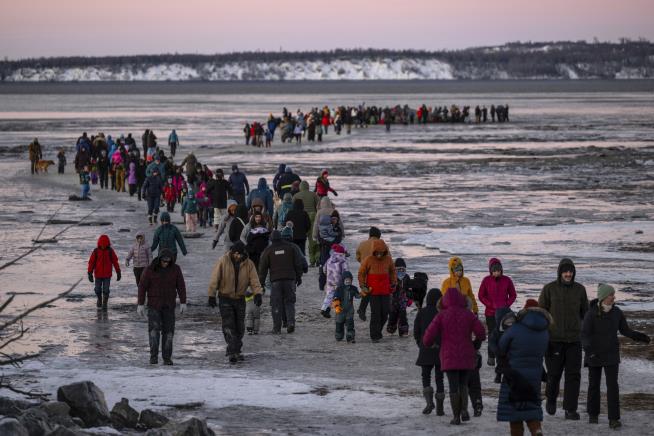 Fin Whale Washes Ashore Near Anchorage, Biologists Investigate