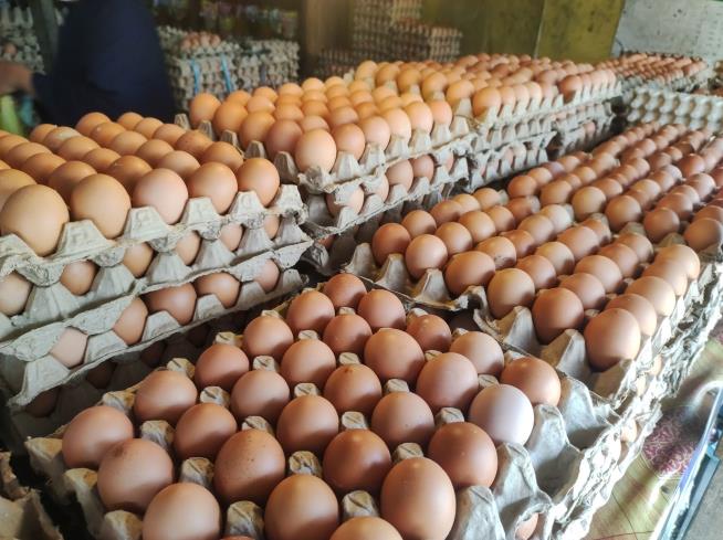 Egg Shortage Puts a Damper on Holiday Prep